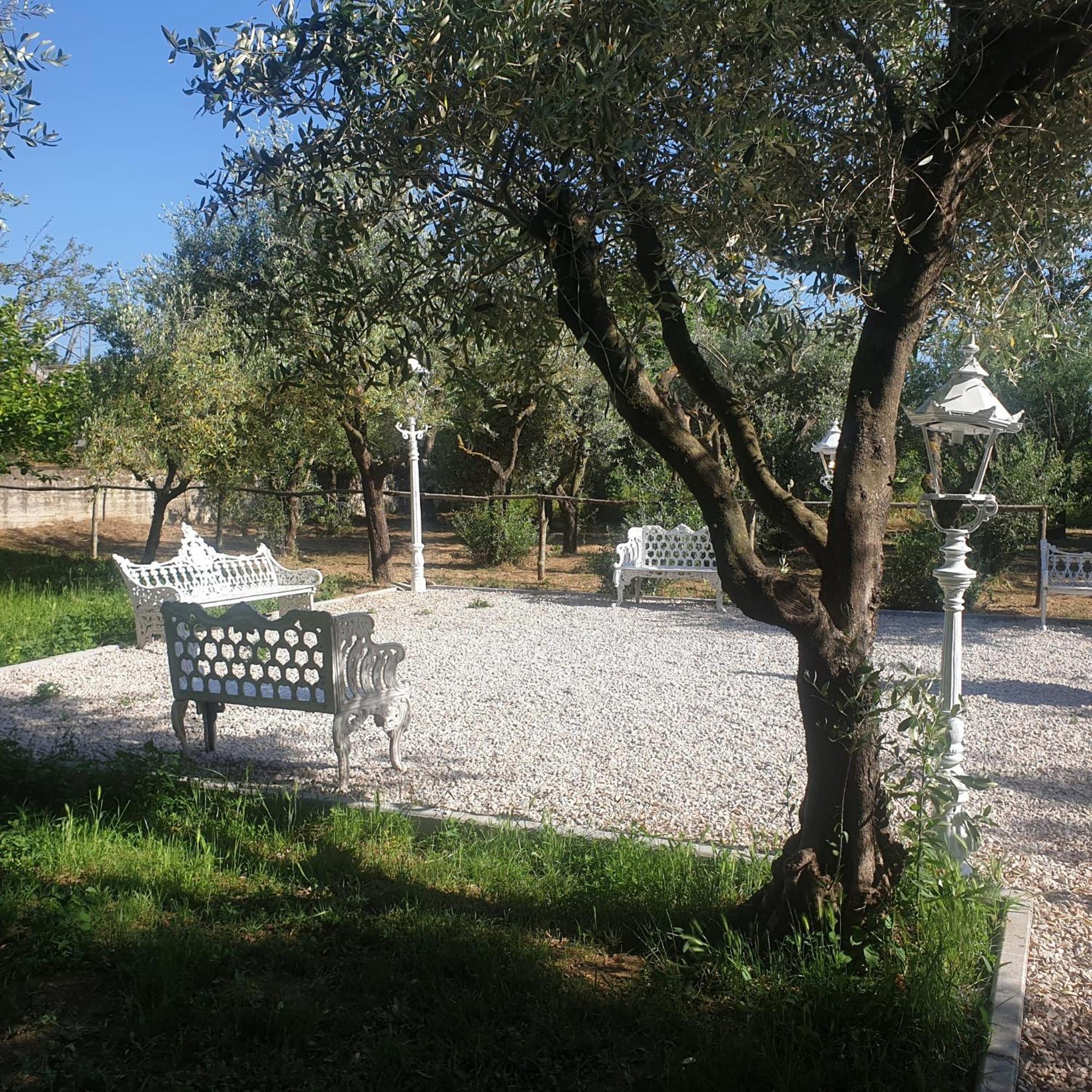 Tenuta Oliva Fisciano Luaran gambar