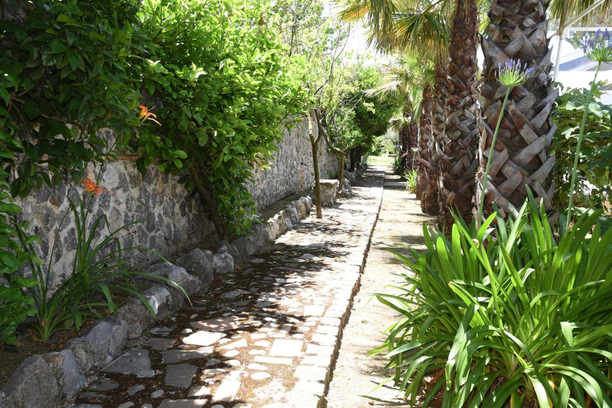 Tenuta Oliva Fisciano Luaran gambar