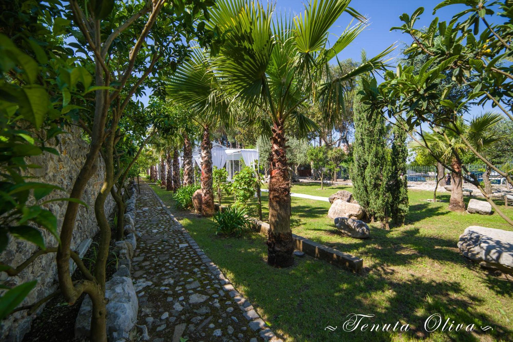 Tenuta Oliva Fisciano Luaran gambar