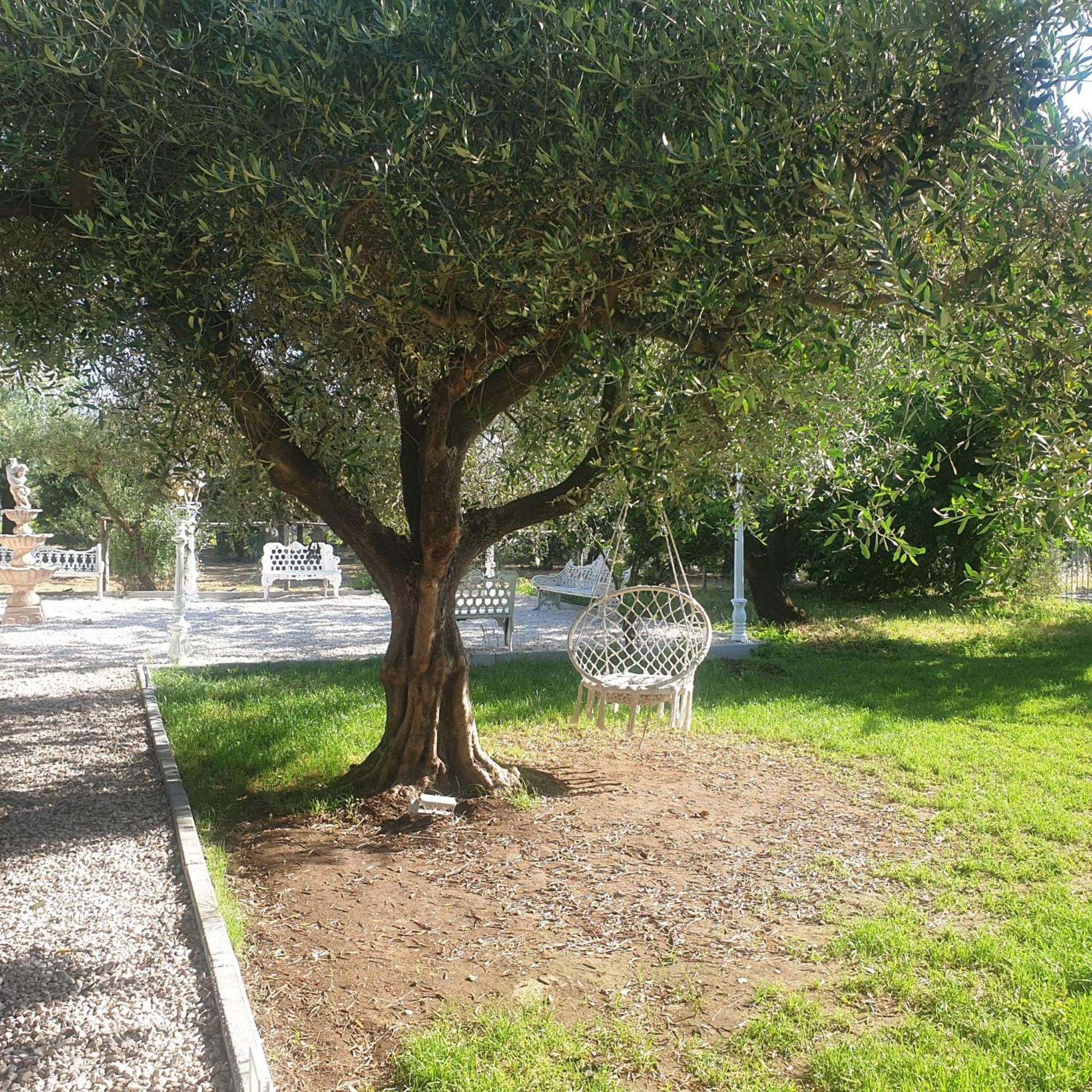 Tenuta Oliva Fisciano Luaran gambar